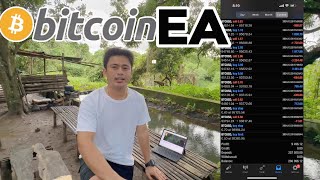 Paano gamitin ang Bitcoin Robot / EA? #bitcoin #trading #forex