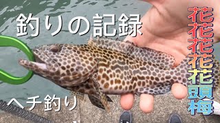 大量花頭梅！隨便都能釣到？｜香港前打釣魚｜ヘチ釣り 前打 Hechi｜北角 赤柱｜HongKongFishing