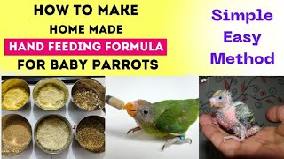 Home made hand feeding formula for baby parrots| How to make birds home made hand feeding formula?