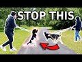 REACTIVE DOG TUTORIAL: Stop Barking and Lunging at Other Dogs