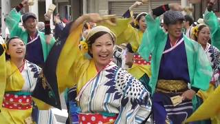 2017年8月11日よさこい祭り【なるたか】菜園場