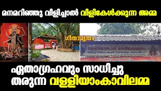 മനമറിഞ്ഞു വിളിച്ചാൽ വിളികേൾക്കുന്ന അമ്മ I VALLIYAMKAVU DEVI TEMPLE I GEETAMRITAM