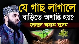 ভূলেও যে গাছটি বাড়ির আশে পাশে লাগাবেন না। লাগালে মহ বি*পদ। মিজানুর রহমান আজহারী। তাং 14 Jul 2024