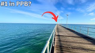 Rye Pier FISHING: Multi-Species of the Jetty |Squid | Whiting | Flathead ✅