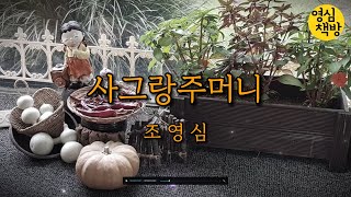 [시 낭독] ㅣ사그랑 주머니ㅣ조영심 시인 ㅣ시집 [그리움의 크기] ㅣ Korean Poem ㅣ영심책방 ㅣ