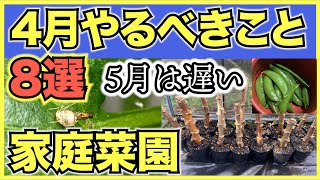 【家庭菜園】4月にやるべきこと8選！5月から夏野菜を育てるために今すぐやるべき準備のチェックリスト【初心者向け】