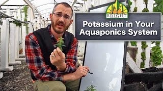 Potassium in Aquaponics (Part 2 of 4) - Potassium in Your System