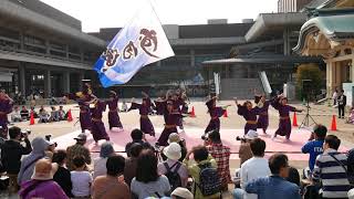 37 河内連 京都さくらよさこい2018