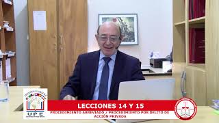 DPP II -  LECCIONES 14 Y 15 / PROF. DR. LULIO VICENTE GAMARRA