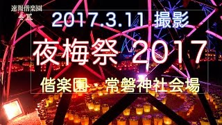 2017.3.11撮影　今日の偕楽園（夜梅祭2017）4K