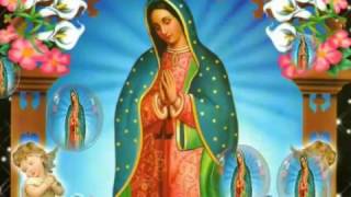 Virgen de Guadalupe (La Guadalupana)