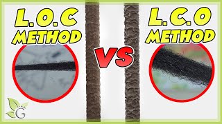LOC or LCO, which is better for your hair’s porosity?