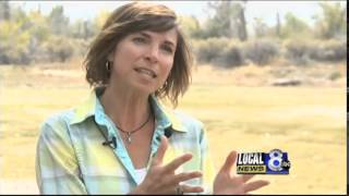 Lemhi ranchers restore fish habitat