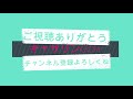 【dbd】初心者〜中級者必見！！超厳選サバイバーパークランキング