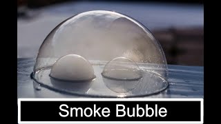 How to Make Smoke Bubble Science Experiment | #shorts