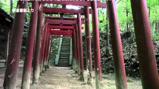 ふら～り峠のお稲荷さん 上杉稲荷神社＠大阪府能勢町〔STEADICAM MERLIN〕