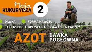 Moja KUKURYDZA 2 Azot w kukurydzy - dawka pogłówna