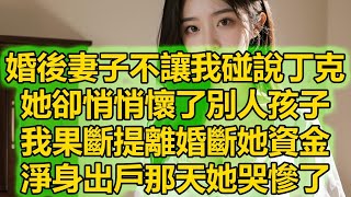 婚後妻子不讓我碰說丁克，她卻悄悄懷了別人孩子，我果斷提離婚斷她資金，淨身出戶那天她哭慘了