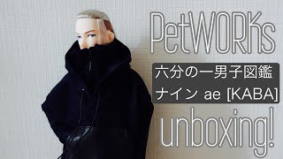 【開封動画】DOLL unboxing! PetWORKs 六分の一男子図鑑ナイン ae [KABA]