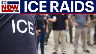 Ex-ICE director on US raids  | LiveNOW from FOX