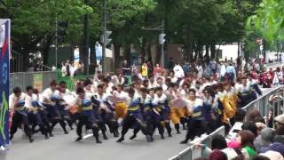 札幌大学 Lafete　～2011YOSAKOIソーラン祭り(大通パレード(南))