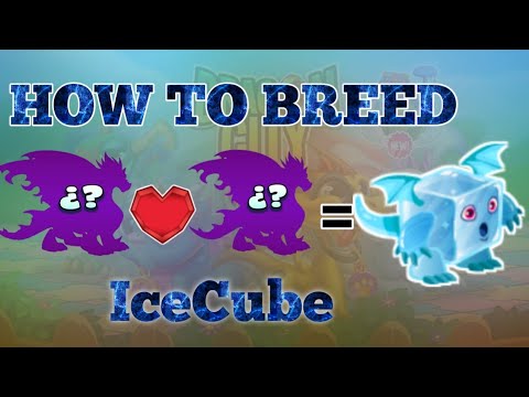 How do you breed an ice cube dragon?