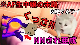 【猫ミーム】泡姫がAF生中されまくるとどうなるのか？＃猫マニ＃猫ミーム