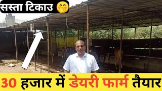 30 हजार में 25 गाय का डेयरी फार्म तैयार - सस्ता टिकाऊ DAIRY FARM