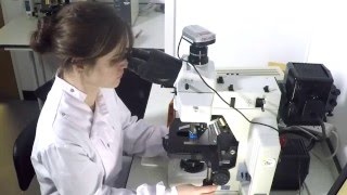 IDEXX Filta Max xpress: Step 6 Microscopy