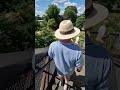 TREE TOP(Kew Garden) ##summer #summergetaway  #HersheyCha