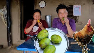 Mango after planting chirato herb plants seeds || Bhumi village vlogs ||