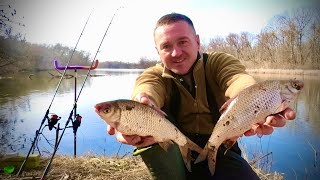 Перша КРУПНА ПЛОТВА ЗАЙШЛА в ПСЁЛ🐟 Ловимо на ФІДЕР!🐟