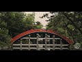 japan ambience 4k osaka shrine sumiyoshi taisha