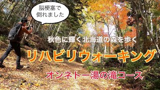 【オンネトー湯の滝】42歳♂脳梗塞からの奇跡の生還！秋色に輝く北海道の森を歩くリハビリウォーキング（ぶっちゃけ本音トークあり）