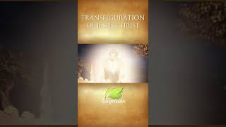 Transfiguration of Jesus | Moses and Elijah