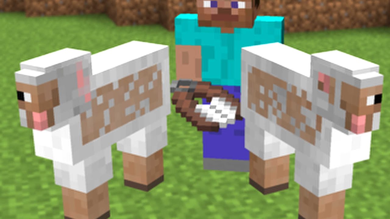 Wait What Minecraft 79 Youtube Wait What Minecraft 79 Youtube