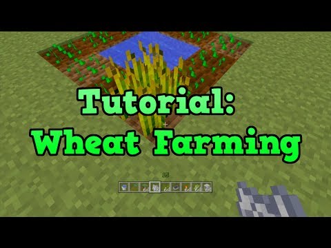 Minecraft PS3 + PS4 - Wheat Farm Tutorial (Farming Tutorial 3/10) Minecraft PS3 + PS4 - Wheat Farm Tutorial (Farming Tutorial 3/10)