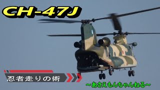 CH－４７J　チヌーク　【忍者走りの術の巻】　２０２４　入間基地航空祭　パートⅡ