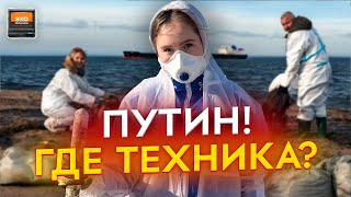 Черное море – живи! Кто виноват в экологической катастрофе  | Эхо регионов