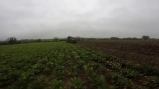 ford new holland 8870 pulling beet with a thyregod t7