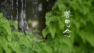 IBS 菩薩寺│ 375善思念 仗佛之力宣說法義