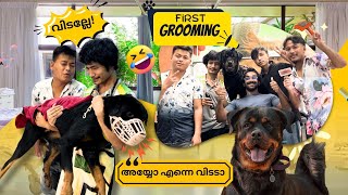 ബ്ലാക്കിയുടെ പണി പാളി 😅 | First Grooming | ബ്ലാക്കി എല്ലാവരേയും ഞെട്ടിച്ചു