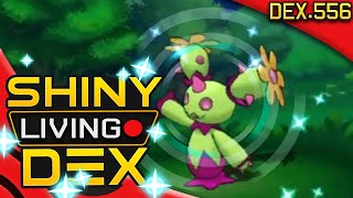 SHINY MARACTUS!! Live Reaction! Quest For Shiny Living Dex #556 | Pokemon ORAS