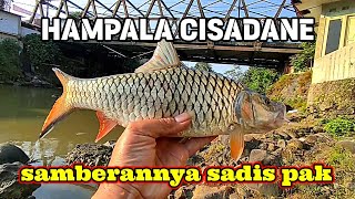 CASTING IKAN HAMPALA DISUNGAI CISADANE BOGOR JAWA BARAT PART 2