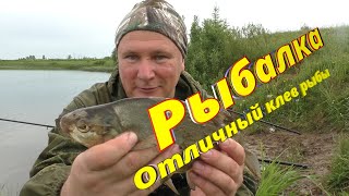 Рыбалка. Отличный клев рыбы.