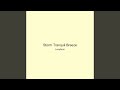 Storm Tranquil Breeze