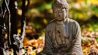 Flutes of Relaxation | Relaxing Meditation