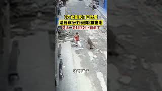 3歲女童家門口玩耍，野猴瞬間將其撲倒後就要拖走，隨後一幕讓人直冒冷汗！【真相記】