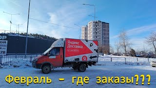 Мыши плакали, кололись - и продолжали жрать Кактус 😀