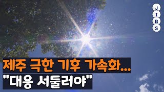 제주 극한 기후 가속화...\